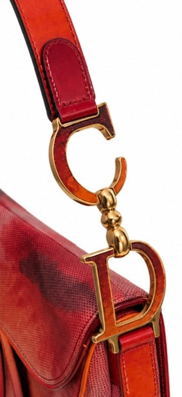 Dior 2000 ombré saddle bag