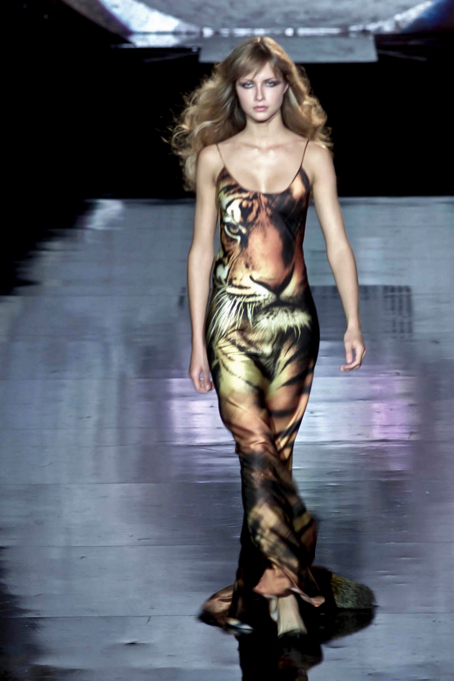 Roberto Cavalli dress